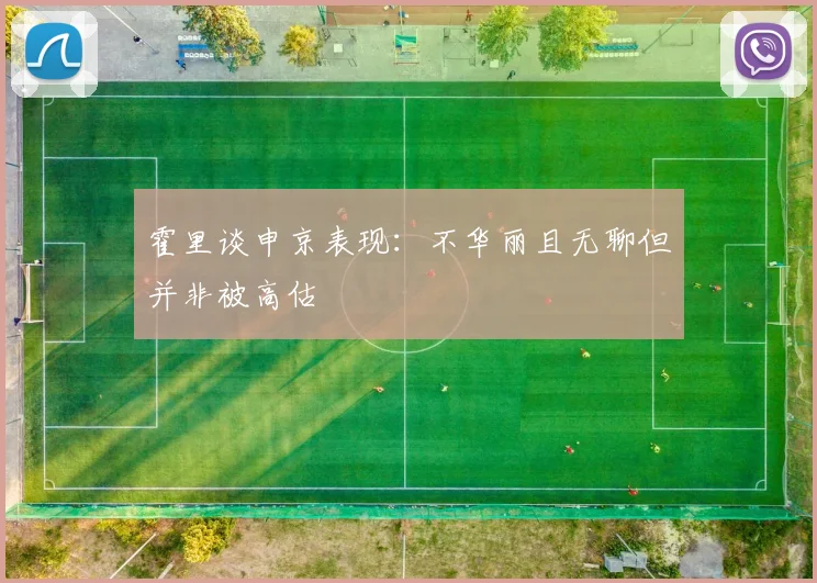 霍里谈申京表现：不华丽且无聊但并非被高估