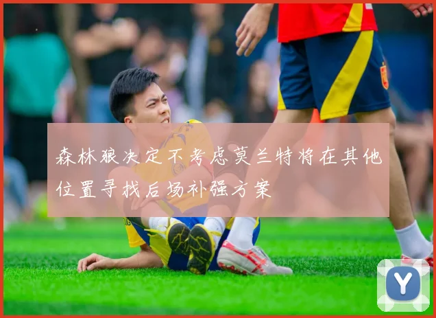 森林狼决定不考虑莫兰特将在其他位置寻找后场补强方案